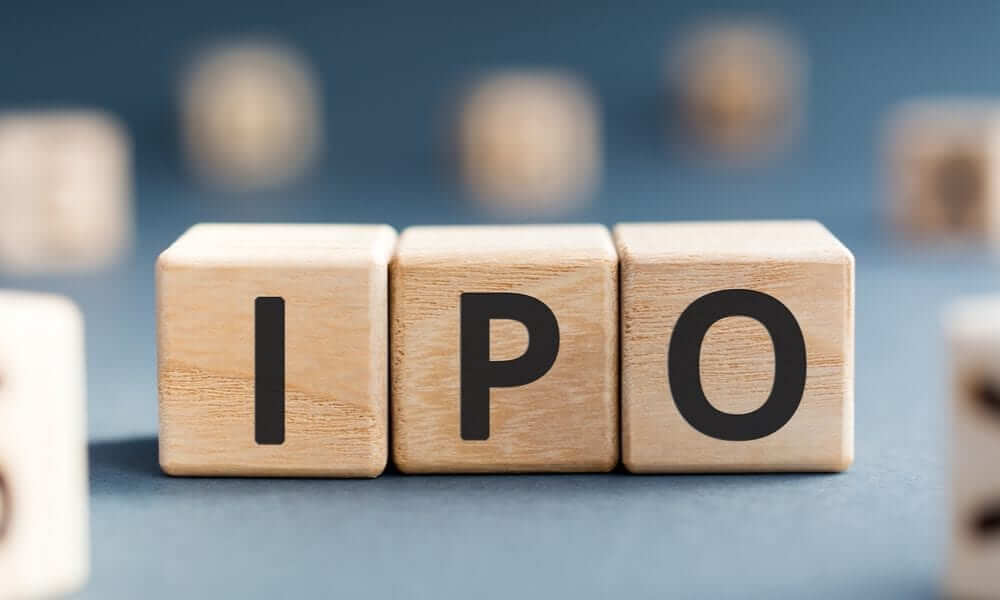 Web Investing Boom and More Websites Going IPO